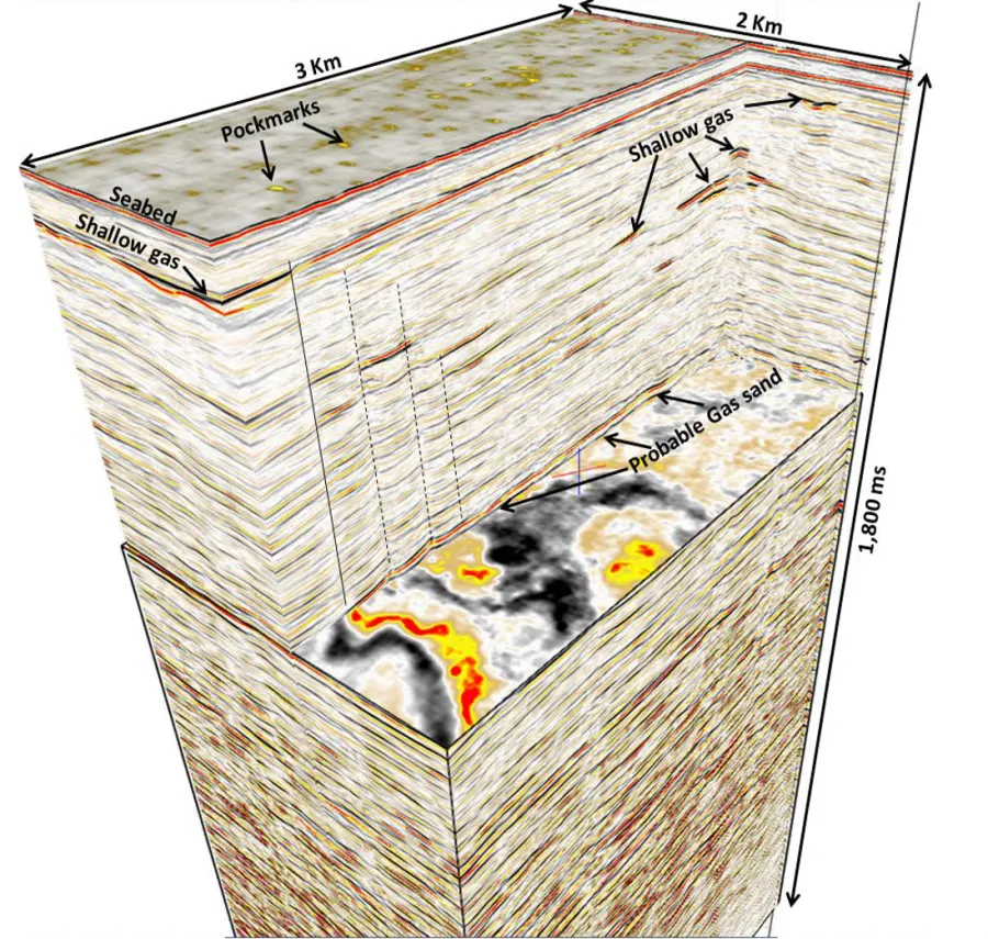 3D seismic survey illustration